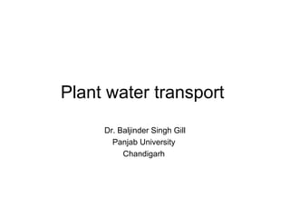 Plant water transport
Dr. Baljinder Singh Gill
Panjab University
Chandigarh
 