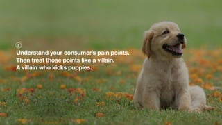 Understand your consumer’s pain points.
Then treat those points like a villain.
A villain who kicks puppies.
2
 