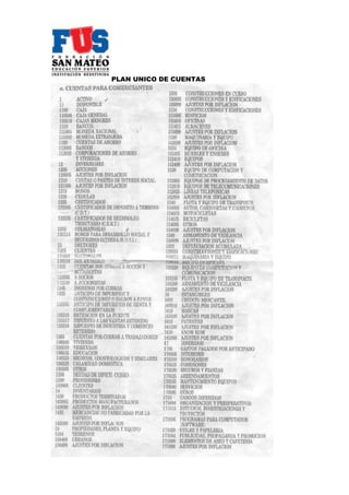 PLAN UNICO DE CUENTAS
