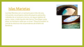 Islas Marietas
Las Islas Marietas son un santuario para miles de aves,
incluyendo una próspera colonia de piqueros patiazules;
rodeadas de un santuario marino, con aguas repletas de
peces, rayas, y todo tipo de vida marina. Para llegar a esta
playa -es necesario nadar por un túnel. "Playa Escondida" es
uno de los destinos más sorprendentes de la Bahía de
Banderas.
 