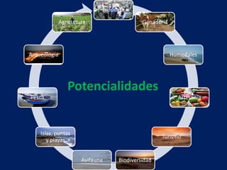 Industria

              Agricultura                        Ganadería




Arqueología                                                  Humedales




                 Potencialidades
Pesca                                                          Artesanía




    Islas, puntas
                                                        Turismo
       y playas


                       Avifauna         Biodiversidad
                             hant21@yahoo.com
 