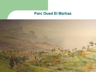 Parc Oued El Marhaz
 