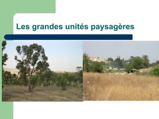 Les grandes unités paysagères
 