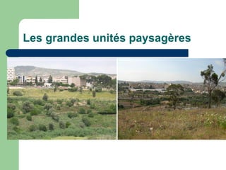 Les grandes unités paysagères
 