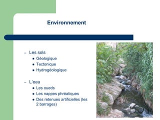 Environnement




–   Les sols
        Géologique
        Tectonique
        Hydrogéologique


–   L’eau
        Les oueds
        Les nappes phréatiques
        Des retenues artificielles (les
         2 barrages)
 
