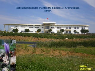 Institut National des Plantes Médicinales et Aromatiques
                          INPMA




                                                           INPMA
                                                           15/03/2010
 