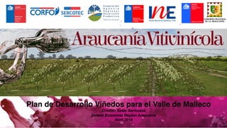 Plan de Desarrollo Viñedos para el Valle de Malleco!
Cristian Salas Sanhueza!
Seremi Economia Region Araucania!
Abril 2016!
 