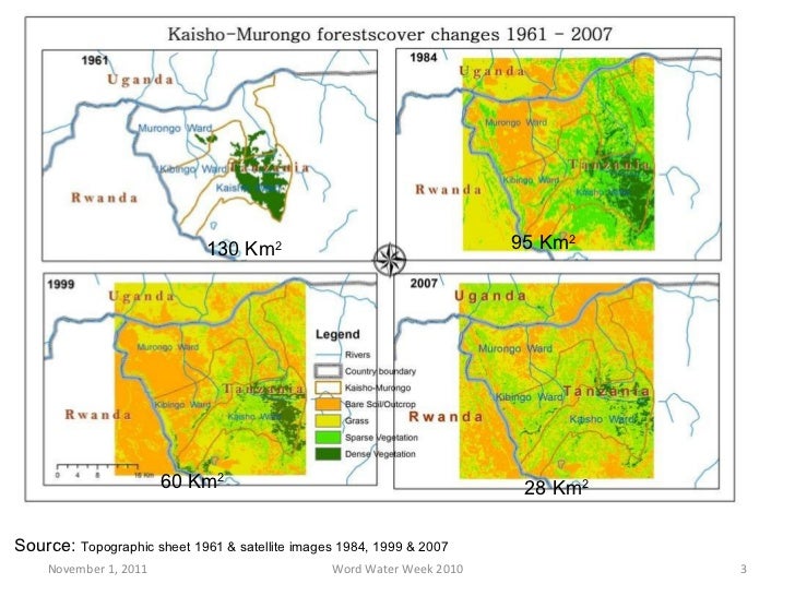 scc viagro forestry kagera emiti nibwo burola trees sustain life