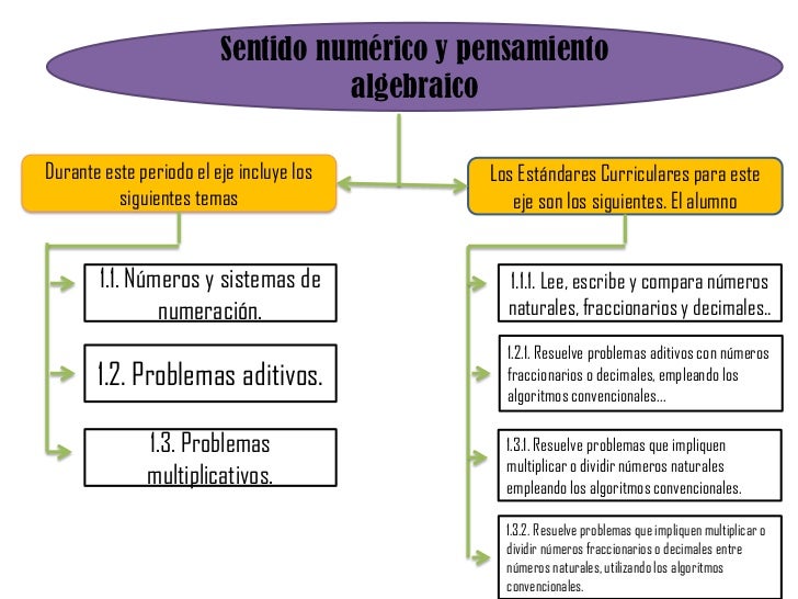 Plan y programa 2011 4°