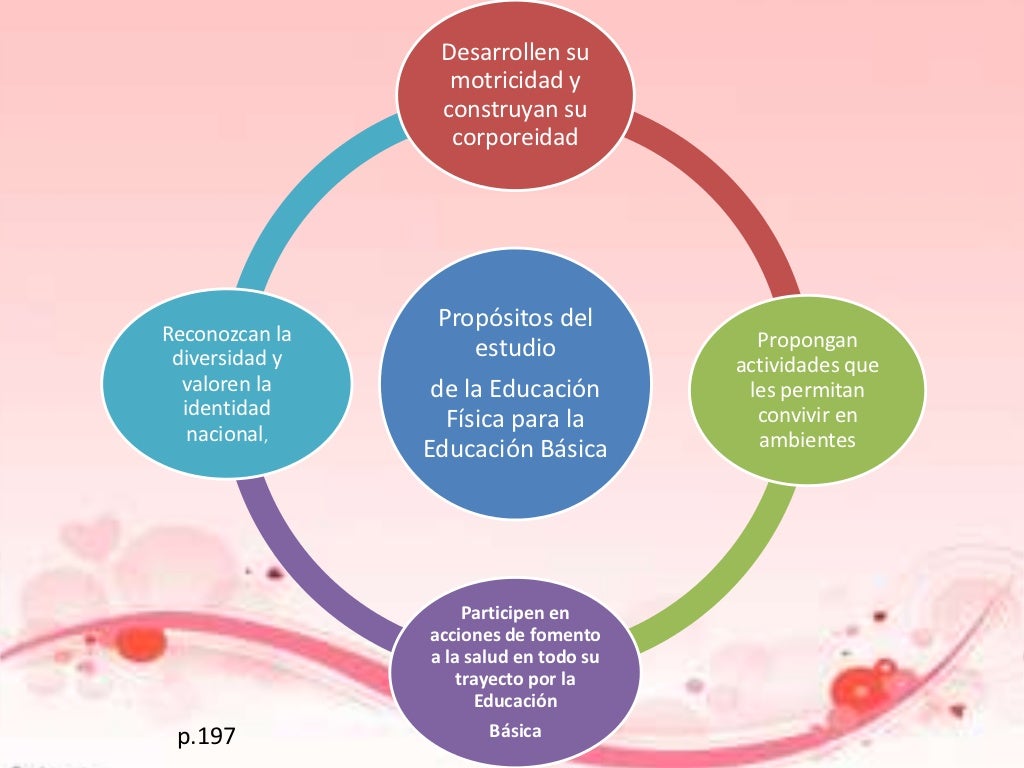 Plan y programa 2011 4°