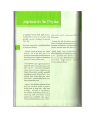 Plan y programas
