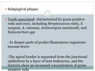 Plaque.ppt