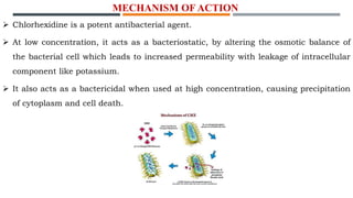 MECHANISM OF ACTION
 Chlorhexidine is a potent antibacterial agent.
 At low concentration, it acts as a bacteriostatic, by altering the osmotic balance of
the bacterial cell which leads to increased permeability with leakage of intracellular
component like potassium.
 It also acts as a bactericidal when used at high concentration, causing precipitation
of cytoplasm and cell death.
 
