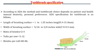  According to ADA the method and toothbrush choice depends on patient oral health
manual dexterity, personal preferences. ADA specification for toothbrush is as
follows,
• Length of brushing surface = 1 to 1.25 inches long(25.4-31.8mm)
• Width of brushing surface = 5/16 to 3/8 inches wide(7.9-9.5 mm)
• Rows of bristles=2-4
• Tufts per row= 5-12.
• Bristles per tuft=80-86.
Toothbrush specification
 