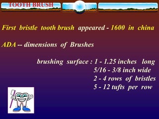 TOOTH BRUSH
First bristle tooth brush appeared - 1600 in china
ADA -- dimensions of Brushes
brushing surface : 1 - 1.25 inches long
5/16 - 3/8 inch wide
2 - 4 rows of bristles
5 - 12 tufts per row
 