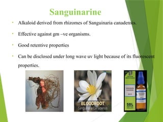Sanguinarine
• Alkaloid derived from rhizomes of Sanguinaria canadensis.
• Effective against gm –ve organisms.
• Good retentive properties
• Can be disclosed under long wave uv light because of its fluorescent
properties.
 