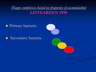 Plaque complexes based on frequency of accumulation
LISTGARDEN 1998
 Primary bacteria
 Secondary bacteria
 