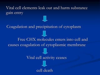 Coagulation and precipitation of cytoplasm
Free CHX molecules enters into cell and
causes coagulation of cytoplasmic membrane
Vital cell activity ceases
cell death
Vital cell elements leak out and harm substance
gain entry
 