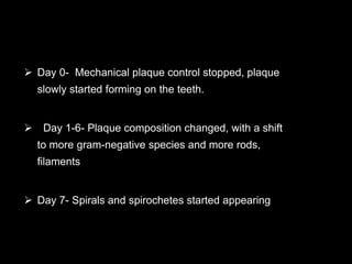  Day 0- Mechanical plaque control stopped, plaque
slowly started forming on the teeth.
 Day 1-6- Plaque composition changed, with a shift
to more gram-negative species and more rods,
filaments
 Day 7- Spirals and spirochetes started appearing
 