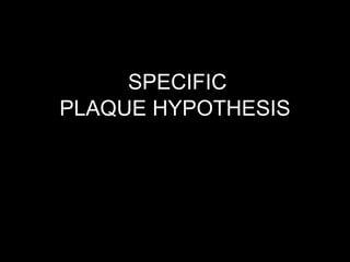 SPECIFIC
PLAQUE HYPOTHESIS
 
