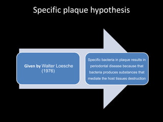 Specific plaque hypothesis
Given by Walter Loesche
(1976)
Specific bacteria in plaque results in
periodontal disease because that
bacteria produces substances that
mediate the host tissues destruction
 