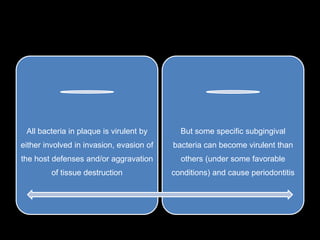 All bacteria in plaque is virulent by
either involved in invasion, evasion of
the host defenses and/or aggravation
of tissue destruction
But some specific subgingival
bacteria can become virulent than
others (under some favorable
conditions) and cause periodontitis
 