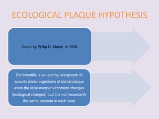 ECOLOGICAL PLAQUE HYPOTHESIS
Given by Philip D. Marsh in 1994
Periodontitis is caused by overgrowth of
specific micro-organisms of dental plaque
when the local microenvironment changes
(ecological changes), but it is not necessarily
the same bacteria in each case
 
