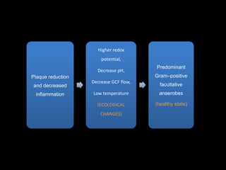 Plaque reduction
and decreased
inflammation
Higher redox
potential,
Decrease pH,
Decrease GCF flow,
Low temperature
(ECOLOGICAL
CHANGES)
Predominant
Gram–positive
facultative
anaerobes
(healthy state)
 