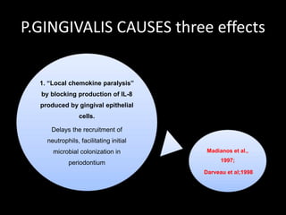 P.GINGIVALIS CAUSES three effects
1. “Local chemokine paralysis”
by blocking production of IL-8
produced by gingival epithelial
cells.
Delays the recruitment of
neutrophils, facilitating initial
microbial colonization in
periodontium
Madianos et al.,
1997;
Darveau et al;1998
 