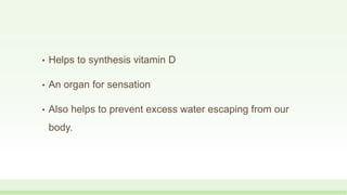 • Helps to synthesis vitamin D
• An organ for sensation
• Also helps to prevent excess water escaping from our
body.
 