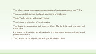 • This inflammatory process causes production of various cytokines, e.g. TNF-a
• They accumulate around the basal membrane of epidermis
• These T cells interact with keratinocytes
• They induce proliferation of keratinocytes
• This leads to accelerated cell turnover (from 23d to 3-5d) and improper cell
maturation
• Increased hard and died keratinized cells and decreased stratum spinosum and
granulosum layers
• This causes thickening and hardening of the affected area
 