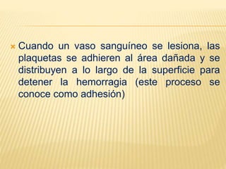  Cuando un vaso sanguíneo se lesiona, las
plaquetas se adhieren al área dañada y se
distribuyen a lo largo de la superficie para
detener la hemorragia (este proceso se
conoce como adhesión)
 