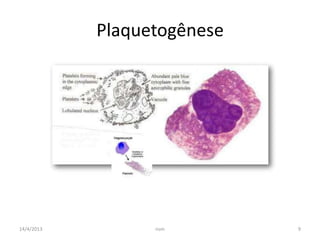 Plaquetas Fisiologia E Avaliacao Laboratorial PPTX plaquetas-fisiologia-e-avaliacao-laboratorial-pptx