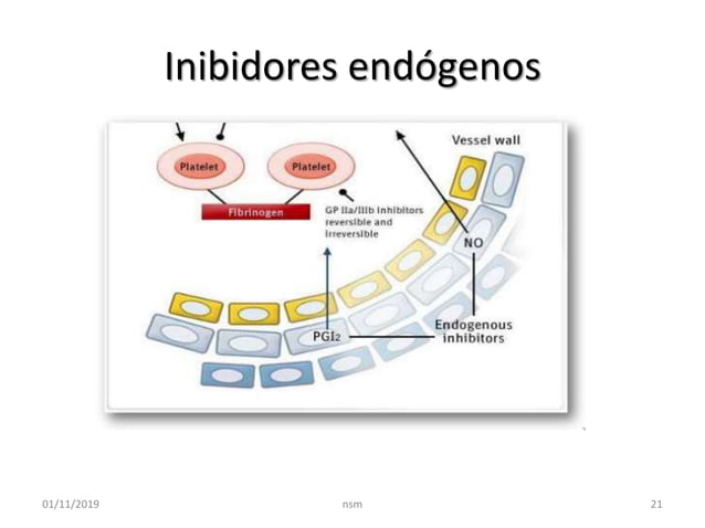 Plaquetas Fisiologia E Avaliacao Laboratorial PPTX plaquetas-fisiologia-e-avaliacao-laboratorial-pptx