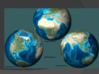 dérive des continents