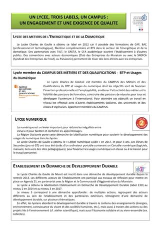 ETABLISSEMENT EN DEMARCHE DE DEVELOPPEMENT DURABLE
Le Lycée Charles de Gaulle de Muret est inscrit dans une démarche de développement durable depuis la
rentrée 2013. Les différents acteurs de l’établissement ont participé aux travaux de réflexion pour mettre en
place un Agenda 21, en partenariat avec la Région et la Communauté d’Agglomération du Muretain.
Le Lycée a obtenu la labellisation Etablissement en Démarche de Développement Durable (label E3D) au
niveau 2 en 2014 et au niveau 3 en 2017.
Le niveau 3 correspond à une démarche approfondie : de multiples actions, regroupant des acteurs
différents au sein de l’établissement et des partenaires extérieurs, témoignent d’une démarche de
développement durable, sur plusieurs thématiques.
En effet, les lycéens abordent le développement durable à travers le contenu des enseignements (énergies,
environnement, connaissance du vivant et des sociétés humaines, etc.), mais aussi à travers des actions ou des
projets liés à l’environnement (cf. atelier scientifique), mais aussi l’économie solidaire et au vivre-ensemble (ex.
collectes).
UN LYCEE, TROIS LABELS, UN CAMPUS :
UN ENGAGEMENT ET UNE EXIGENCE DE QUALITE
LYCEE DES METIERS DE L’ENERGETIQUE ET DE LA DOMOTIQUE
Le Lycée Charles de Gaulle a obtenu ce label en 2012 car il possède des formations de CAP, BAC
(professionnel et technologique), Mention complémentaire et BTS dans le secteur de l’énergétique et de la
domotique. Des partenariats avec l’IUT, le GRETA, le CFA académique ouvrent l’établissement à d’autres
publics. Des conventions avec acteurs économiques (Club des Entreprises du Muretain ou avec le SNEFCA
(Syndicat des Entreprises du Froid), ou Panasonic) permettent de tisser des liens étroits avec les entreprises.
LYCEE NUMERIQUE
Le numérique est un levier important pour réduire les inégalités entre
élèves et pour faciliter et conforter les apprentissages.
La Région Occitanie porte cette démarche de labellisation numérique pour soutenir le développement des
usages du numérique dans les lycées.
Le Lycée Charles de Gaulle a obtenu le « L@bel numérique Lycée » en 2017, et pour 3 ans. Les élèves de
Secondes (pro et GT) ont tous été dotés d’un ordinateur portable contenant un Cartable numérique (logiciels,
manuels, liens vers des sites pédagogiques), pour favoriser les usages numériques en classe ou à la maison pour
le travail personnel.
Lycée membre du CAMPUS DES METIERS ET DES QUALIFICATIONS - BTP et Usages
du Numérique
Le Lycée Charles de GAULLE est membre du CAMPUS des Métiers et des
Qualifications du BTP et usages du numérique dont les objectifs sont de favoriser
l’insertion professionnelle et l’employabilité, améliorer l’attractivité des métiers et la
lisibilité des parcours de formation, construire des parcours de réussite pour tous et
développer l’ouverture à l’international. Pour atteindre ces objectifs un travail en
réseau est effectué avec d’autres établissements scolaires, des universités et des
écoles d’ingénieurs, également membres du CAMPUS.
 