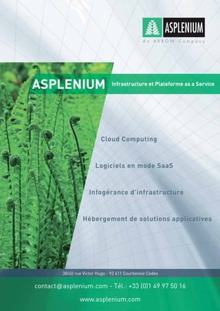 Plaquette asplenium 2010