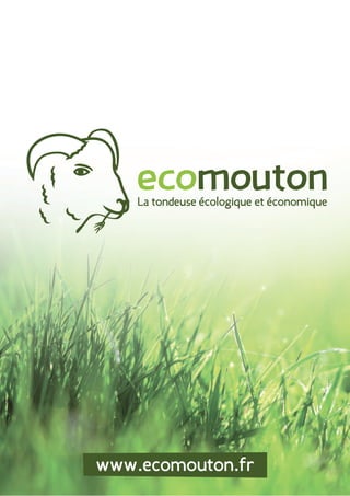 www.ecomouton.fr 
 