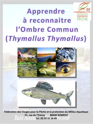 Fédération des Vosges pour la Pêche et la protection du Milieu Aquatique 31, rue de l’Estrey  88440 NOMEXY Tel. 03 29 31 18 89 
