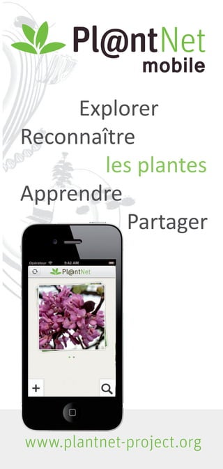 mobile
     Explorer
Reconnaître
        les plantes
Apprendre
          Partager




www.plantnet-project.org
 