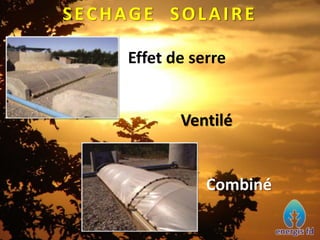 SECHAGE SOLAIRE
Effet de serre
Ventilé
Combiné
 