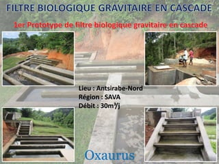 Lieu : Antsirabe-Nord
Région : SAVA
Débit : 30m³/j
Oxaurus
 