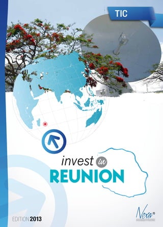 Edition 2013
TIC
invest in
Reunion
Charte Graphique Nexa
 