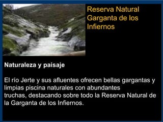Reserva Natural Garganta de los InfiernosNaturaleza y paisajeEl río Jerte y sus afluentes ofrecen bellas gargantas y limpias piscina naturales con abundantes truchas, destacando sobre todo la Reserva Natural de la Garganta de los Infiernos.