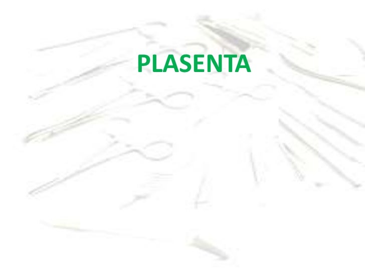 Plasenta Plasenta