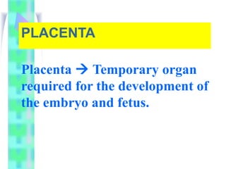 Comprehensive Overview of Placental Structure and Function in Pregnancy ...