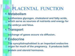 Comprehensive Overview of Placental Structure and Function in Pregnancy ...