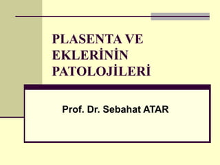 PLASENTA VE
EKLERİNİN
PATOLOJİLERİ
Prof. Dr. Sebahat ATAR
 