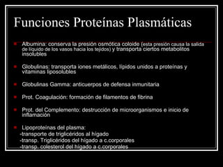 Funciones Proteínas Plasmáticas  Albumina: conserva la presión osmótica coloide ( esta presión causa la salida de líquido de los vasos hacia los tejidos)  y transporta ciertos metabolitos insolubles Globulinas: transporta iones metálicos, lípidos unidos a proteínas y vitaminas liposolubles Globulinas Gamma: anticuerpos de defensa inmunitaria Prot. Coagulación: formación de filamentos de fibrina Prot. del Complemento: destrucción de microorganismos e inicio de inflamación Lipoproteínas del plasma: -transporte de triglicéridos al hígado -transp. Triglicéridos del hígado a c.corporales -transp. colesterol del hígado a c.corporales 