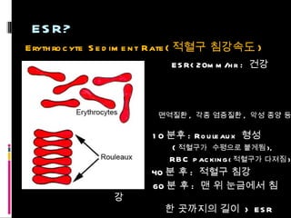 ESR? Erythrocyte Sediment Rate( 적혈구 침강속도 ) 10 분후 : Rouleaux  형성 ( 적혈구가  수평으로 붙게됨 ), RBC packing ( 적혈구가 다져짐 ) 40 분 후 :  적혈구 침강 60 분 후 :  맨 위 눈금에서 침강 한 곳까지의 길이  > ESR ESR<20mm/hr :  건강 면역질환 ,  각종 염증질환 ,  악성 종양 등 